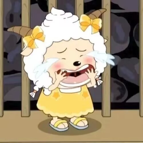 神彩肥羊网络工作室